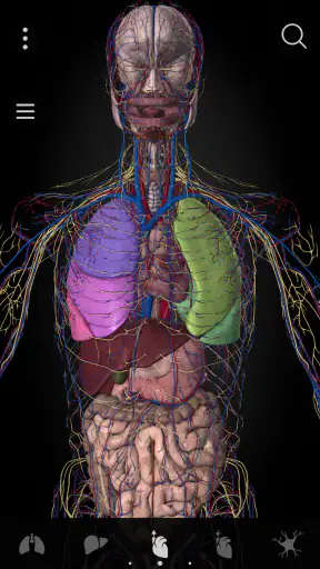 Anatomyka - 3D Anatomy Atlas