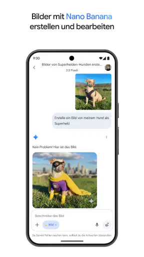 Google Gemini