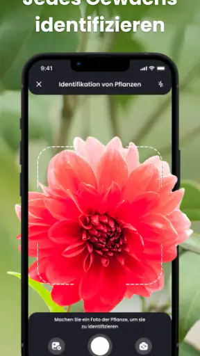 PlantIn - Pflanzen erkennen