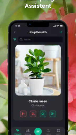 PlantIn - Pflanzen erkennen