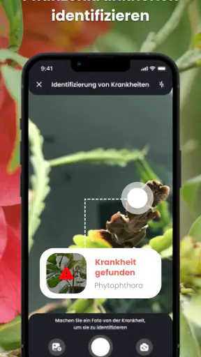 PlantIn - Pflanzen erkennen