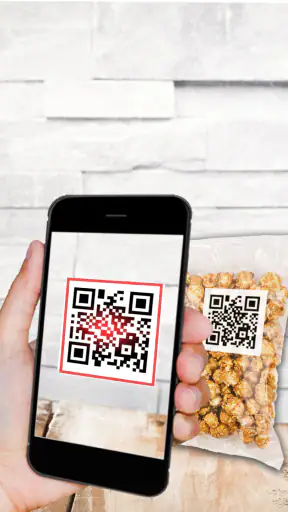 QR-Codeleser