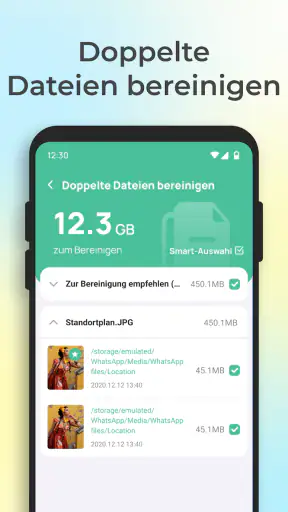 Speicher Bereinigen Pro