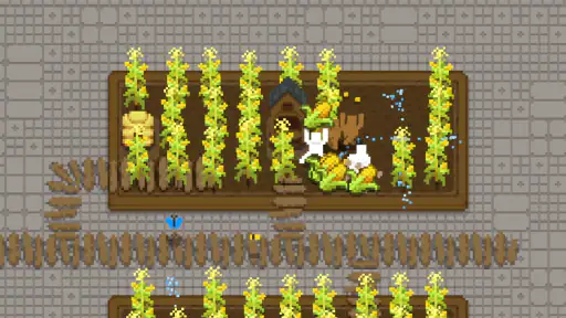 Tiny Terraces