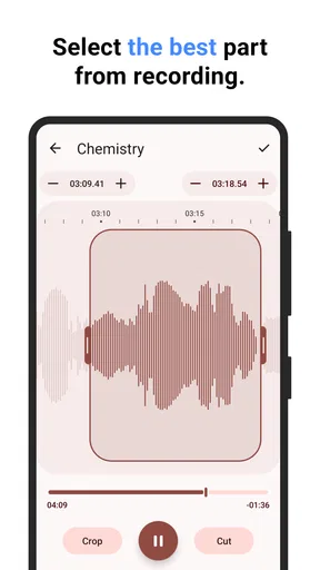 Voice Recorder