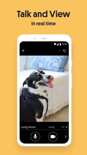 AlfredCamera Home Security app