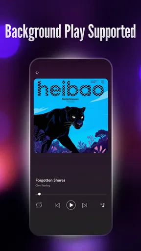 Offline Player: Local Music