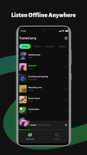 TuneCarry: Offline Music