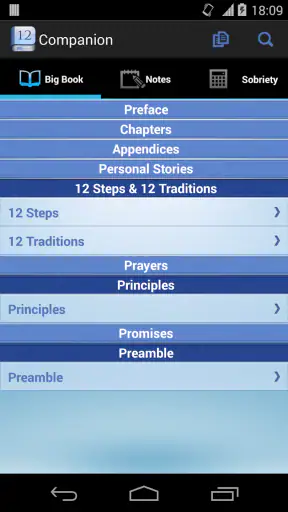 12 Steps AA Companion