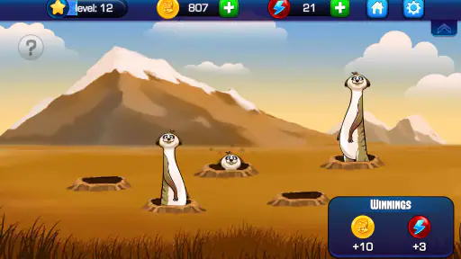 Absolute Bingo
