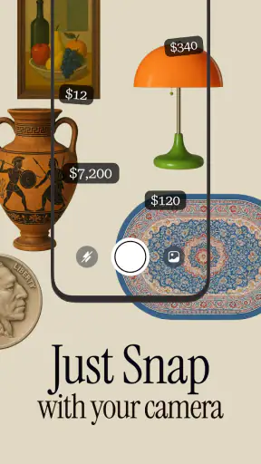 Antique Identifier Zophi