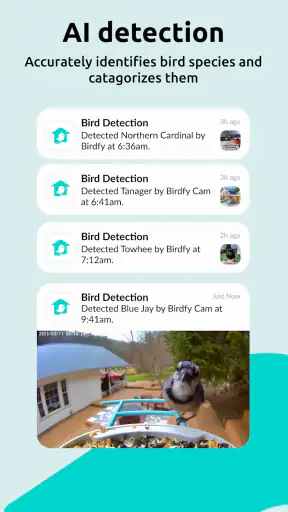 Birdfy
