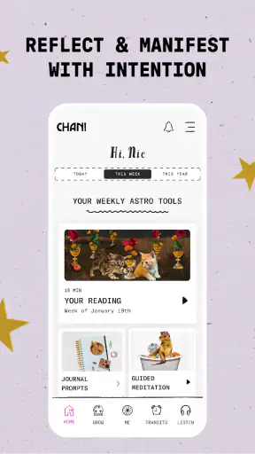 CHANI: Your Astrology Guide