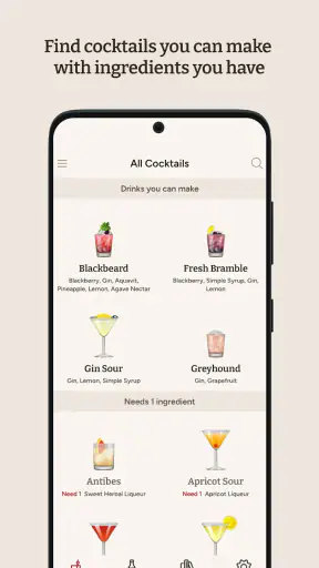 Cocktail Party: Drink Recipes