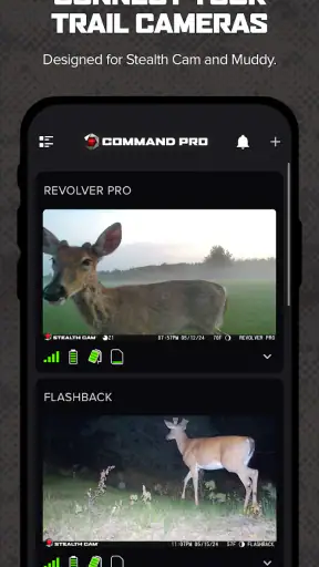 Command