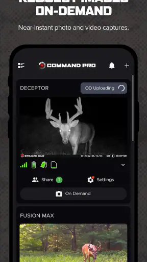 Command