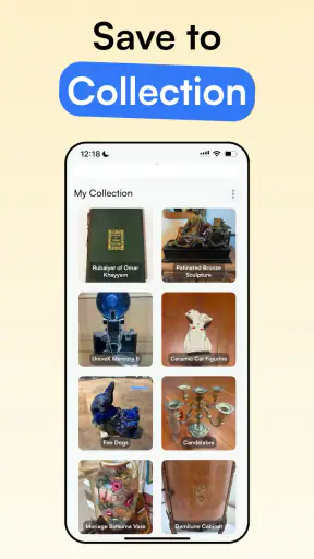 Curio - Antique Identifier
