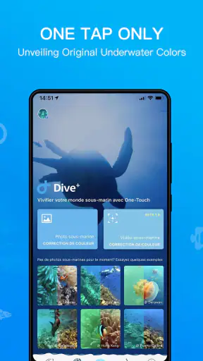 Dive+ : Diving Community