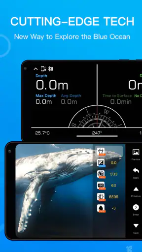 Dive+ : Diving Community