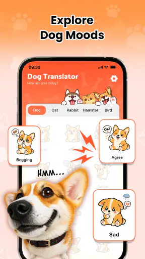Dog Translator - Human to Pet