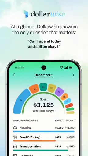 Dollarwise: Budget & Tracking