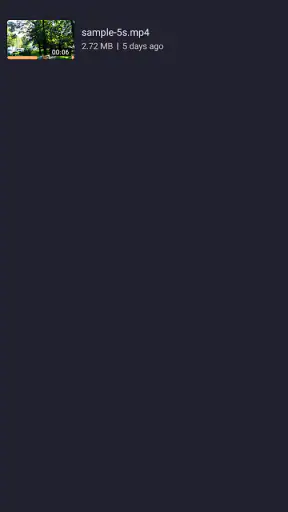 EZV Player