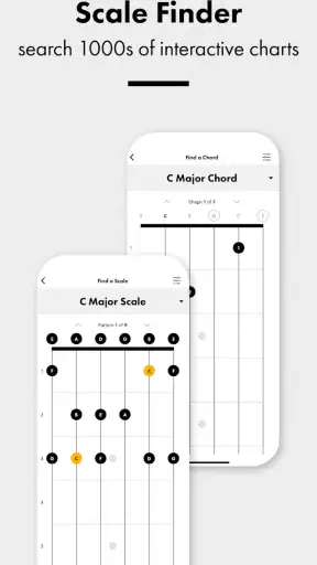 Fender Guitar Tuner