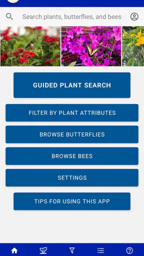 FFL Plants & Pollinators