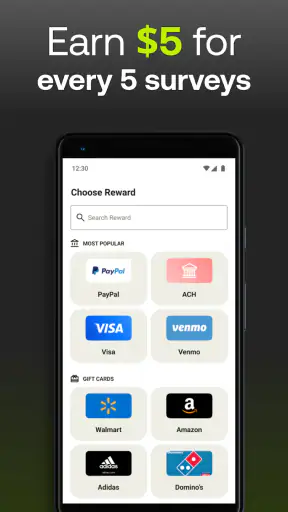 Five Surveys - Earn Money Fast