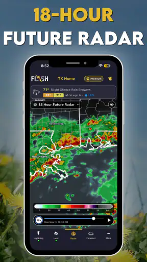 Flash Weather AI: Future Radar