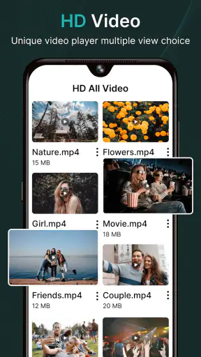 Flivio Video Player All Format