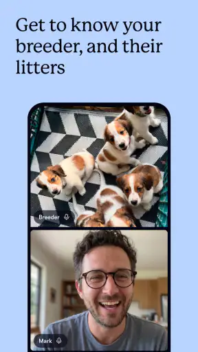 Good Dog: Find Your Puppy