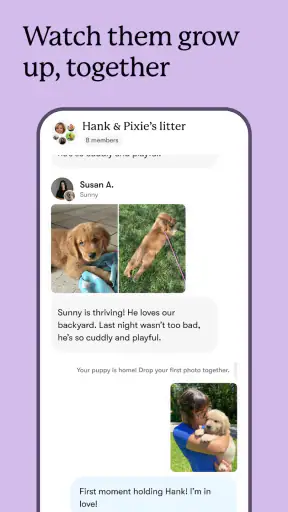 Good Dog: Find Your Puppy