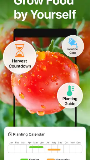 GrowIt: Vegetable Garden Care