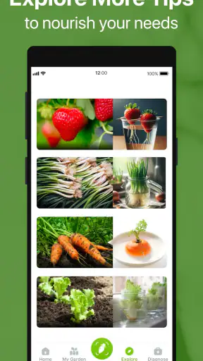 GrowIt: Vegetable Garden Care