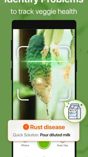 GrowIt: Vegetable Garden Care