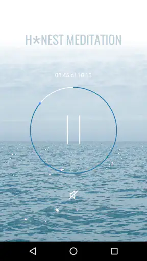 H*nest Meditation