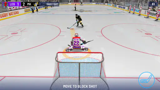 Hockey All Stars 24