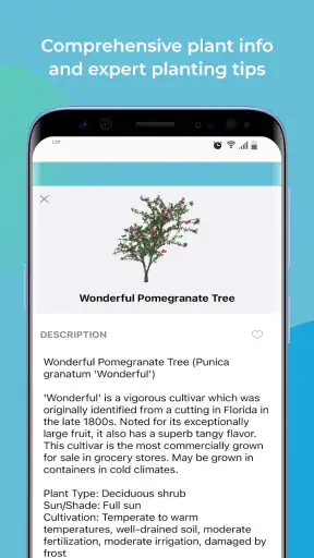 iScape: Landscape Design App