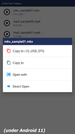 JS USB OTG
