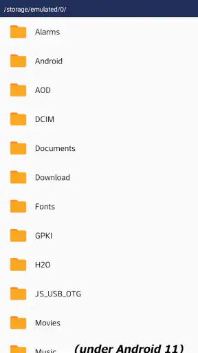 JS USB OTG