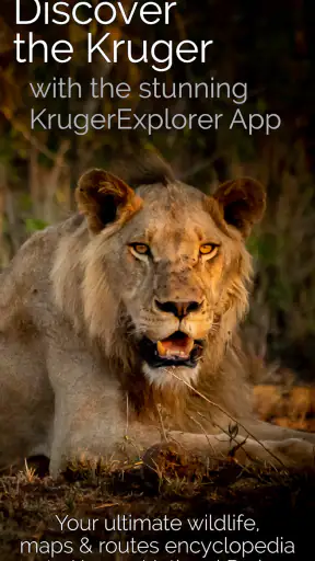 KrugerExplorer