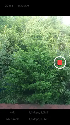 Larix Broadcaster: Live Stream