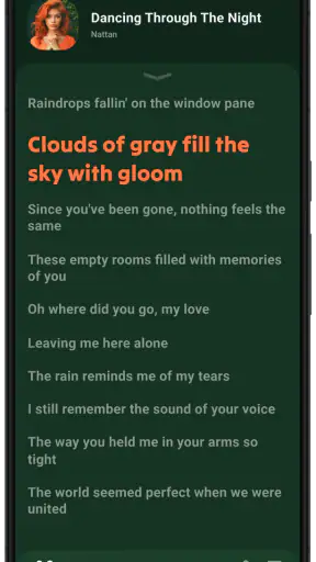 Lark Player:Music Player & MP3