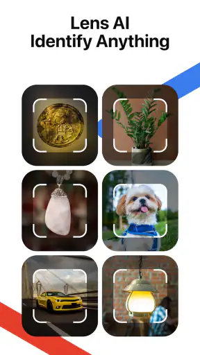 Lens AI: Identify Anything