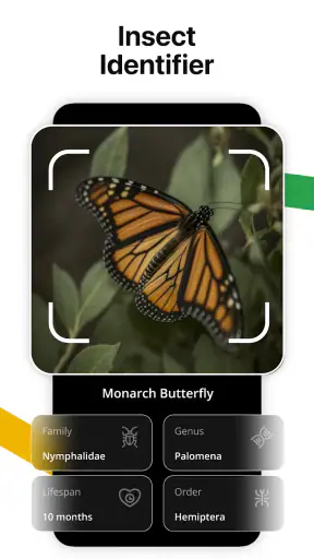 Lens AI: Identify Anything
