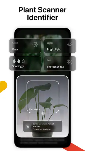 Lens AI: Identify Anything