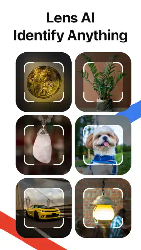 Lens AI: Identify Anything