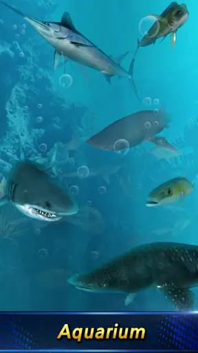 Monster Fishing 2026