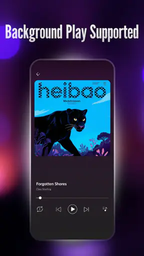 Offline Player: Local Music